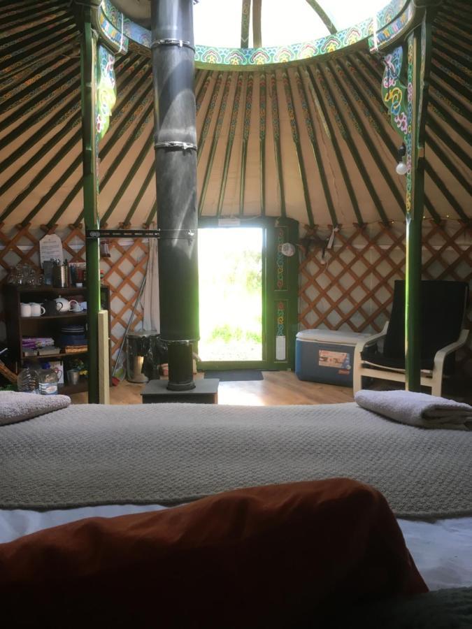 Penbedw Uchaf Estate - Rural Retreats, Tennis Mold Exteriör bild