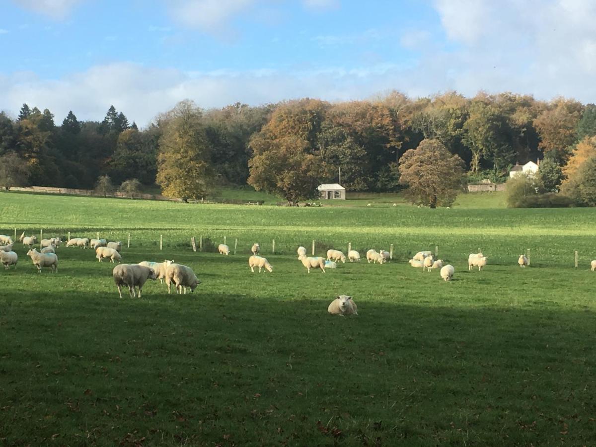 Penbedw Uchaf Estate - Rural Retreats, Tennis Mold Exteriör bild